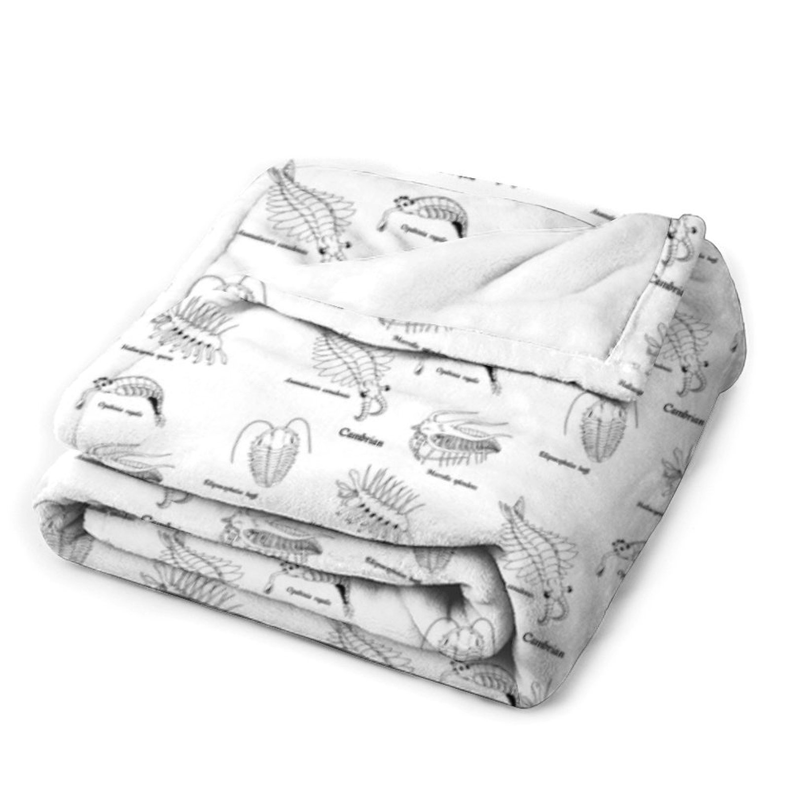 Couverture en flanelle Cambria - Luxury Lifestyle Travel avis et prix